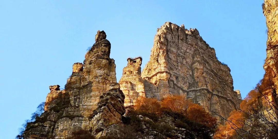 万辰集团接受信达证券等机构调研