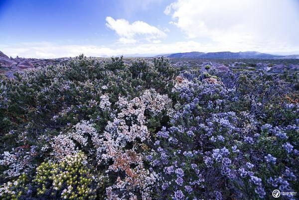 美国近800种药物集体涨价,诺和诺德“减肥神药”涨3.5%