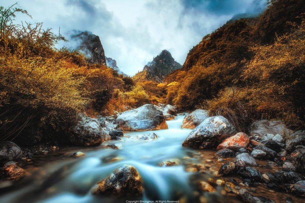聚焦“一老一小一新”,共绘“朝夕美好”画卷!苏州工业园区娄葑街道开展暖心便民系列活动