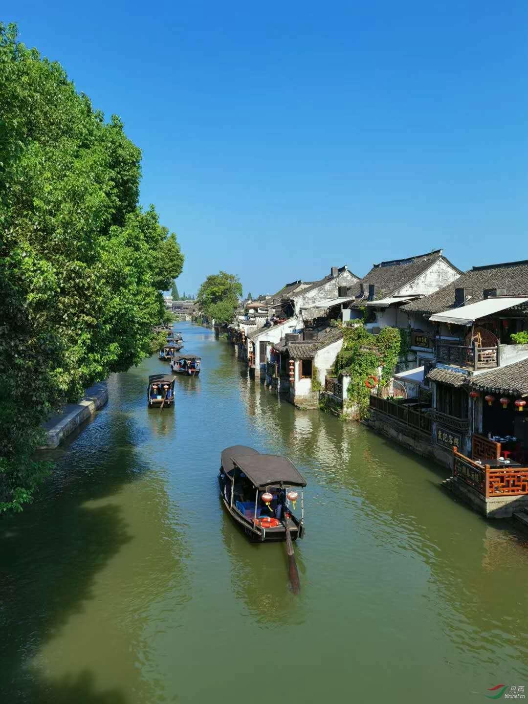 动物记忆大翻牌